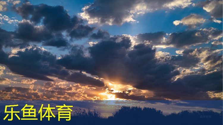 乐鱼体育官方网站,专业铺设塑胶跑道