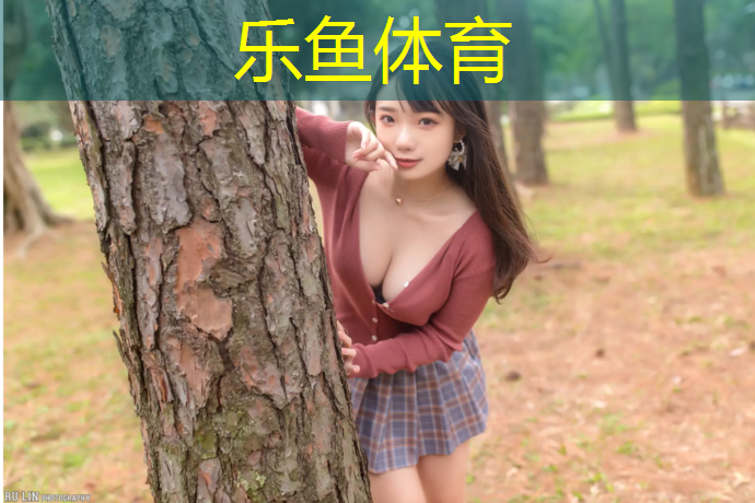 网球网膜撕裂