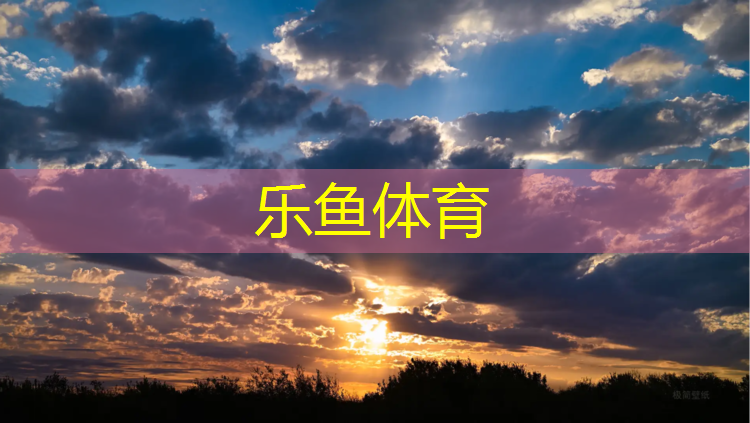 龙马网球网球王子