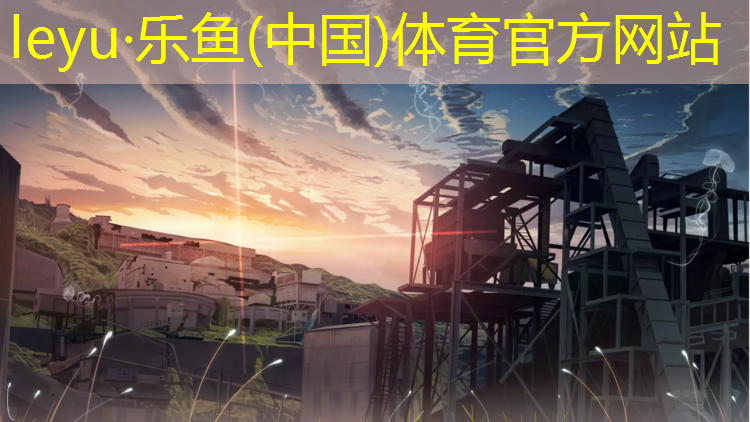 阜阳专用塑胶跑道施工做法